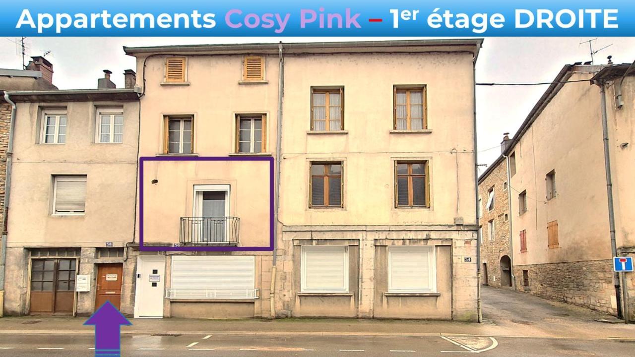 Appartement Cosy Pink Salins Les Bains ภายนอก รูปภาพ
